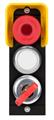 Euchner MSM-1-P-CS-BLH-G7-165078