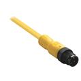 Allen Bradley 889D-F4ACDM-0M6 DC Micro Cable