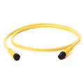 Allen Bradley 889D-F4AEDM-14 DC Micro Cable