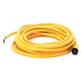 Allen Bradley 889N-F4AFNV-12F Mini Cable