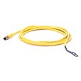 Allen Bradley 889P-M3AB-10 Pico Cable