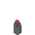 Pizzato FM 514-M2 Position switch with mushroom head plunger