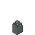 Pizzato FC 3301-M2 Position switch with plunger