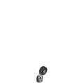 Pizzato VN A00KG-V38 Adjustable shaped metal revolving lever with technopolymer roller Ø 20 mm, with external metallic parts in stainless steel