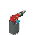 Pizzato FD 1884-M2-EX4 Rope safety switch with reset for emergency stop ATEX cat 3D