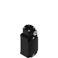 Pizzato FD 2038-M2T2 Position switches for high temperature up to +180°C