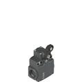 Pizzato FX 530-XM2V38 Position switch with roller lever