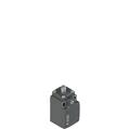 Pizzato FK 301-XM1 Position switch with plunger