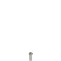 Pizzato VF VAM5X15BW-X Stainless steel security screws