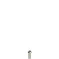 Pizzato VF VAM5X15BX-X Stainless steel security screws