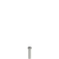 Pizzato VF VAM5X25BW-X Stainless steel security screws
