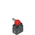 Pizzato FZ 596-M2 Safety switch for hinged doors