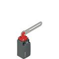 Pizzato FM 5C4-M2 Safety switch with slotted hole lever