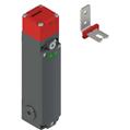 Pizzato FG 60AD1D0A-F21 FG series safety switch with separate actuator with lock