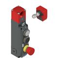 Pizzato NG 2D1D311D-F31 NG series safety switch with lock and integrated control devices, with actuator