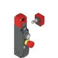 Pizzato NG 2D1D312D-F30 NG series safety switch with lock and integrated control devices, with actuator