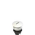 Pizzato E2 1PL2F249L2 Illuminated white mushroom pushbutton, with marking