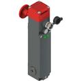 Pizzato FG 60TD6D0A-V70V90 Safety switch for lift door locking