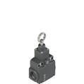Pizzato FX 573-M2 Stable position switch for rope actuation
