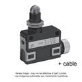 Azbil SL1-AKFXG5 Compact Horizontal Limit Switch