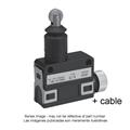 Azbil SL1-BAG2 Compact Horizontal Limit Switch