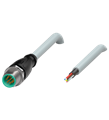 Pepperl+Fuchs V19S-G-10M-PUR-ABG Male cordset single-ended M12 straight A-coded, 8-pin, PUR cable grey, shielded