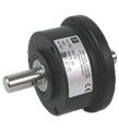 Pepperl+Fuchs BRB60N-30S Bearing box for offshore applications, shaft ∅12x24 with pin hole, max rotational speed 6000 min-1