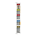 Beckhoff EL2502-0010 EtherCAT Terminal, 2-channel PWM output, 24 V DC, 05 A, timestamp